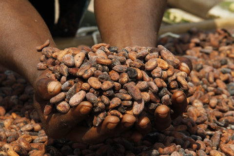 Vad betyder Fairtrade specifikt?
