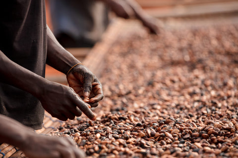 Fairtrade kakao